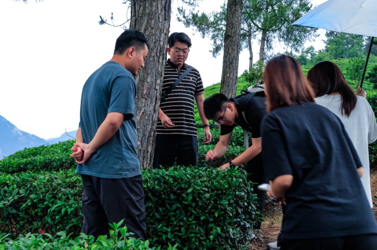 点击图片进入下一页 点击图片进入下一页